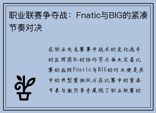 职业联赛争夺战：Fnatic与BIG的紧凑节奏对决